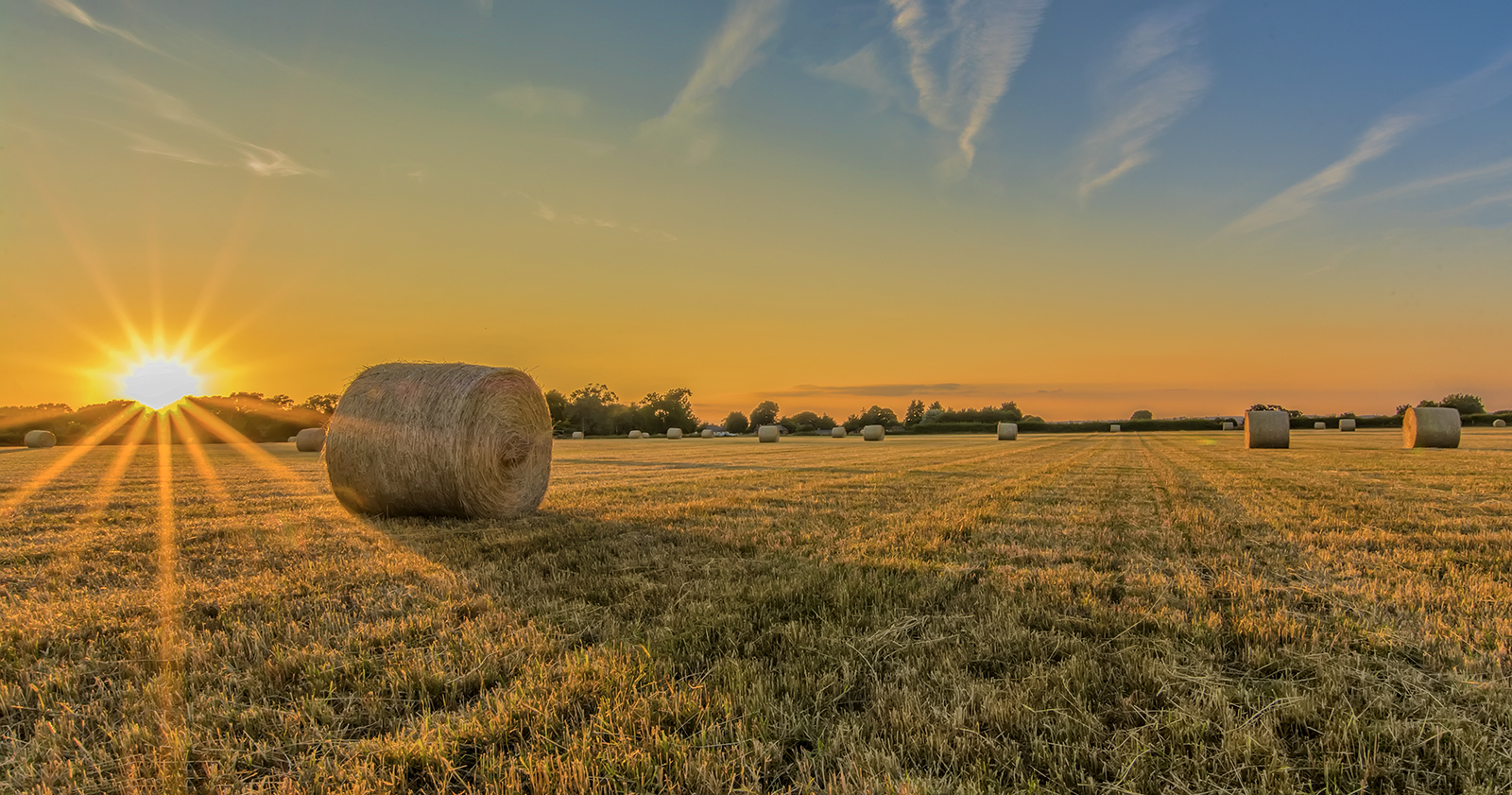 3rd Place - Ian Mears - Hay Bales